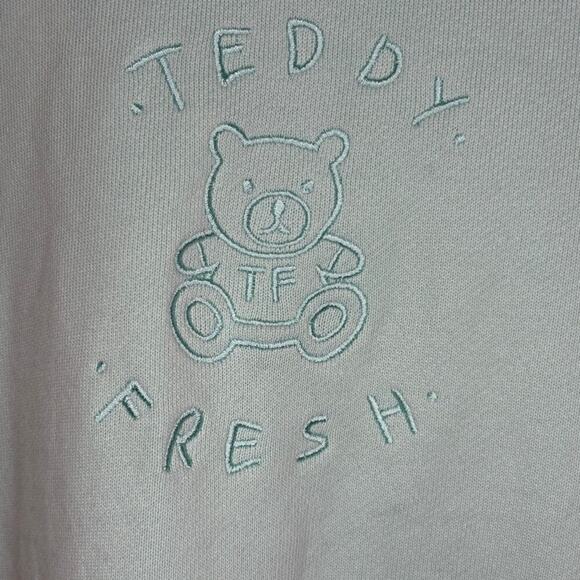 Teddy Fresh Mens Streetwear Pastel Colorblock Embroidered Hoodie Sz L - Picture 3 of 7